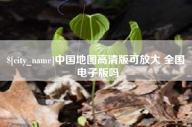 深圳中国地图高清版可放大 全国 电子版吗