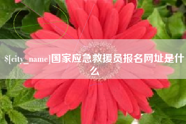 深圳国家应急救援员报名网址是什么