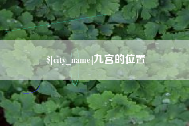 深圳九宫的位置