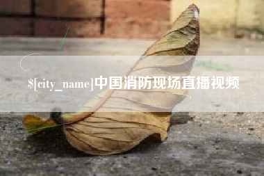 深圳中国消防现场直播视频
