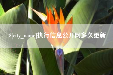 深圳执行信息公开网多久更新