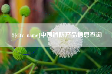 深圳中国消防产品信息查询