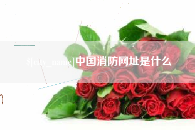 深圳中国消防网址是什么