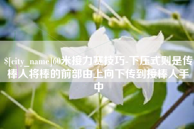 深圳60米接力赛技巧-下压式则是传棒人将棒的前部由上向下传到接棒人手中