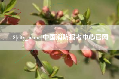 深圳中国消防报考中心官网