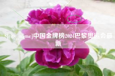 深圳中国金牌榜2024巴黎奥运会最新