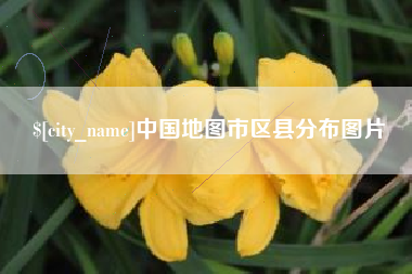 深圳中国地图市区县分布图片