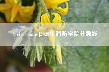 深圳2020年消防学院分数线