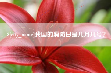 深圳我国的消防日是几月几号？