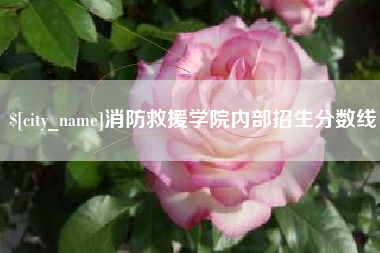 深圳消防救援学院内部招生分数线