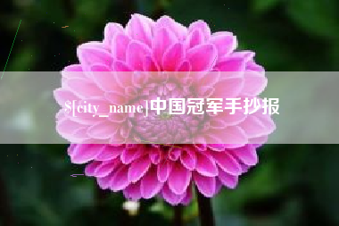 深圳中国冠军手抄报