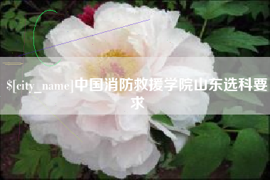 深圳中国消防救援学院山东选科要求