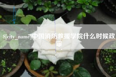 深圳中国消防救援学院什么时候政审