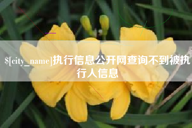 深圳执行信息公开网查询不到被执行人信息