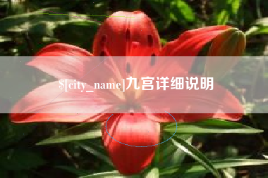 深圳九宫详细说明