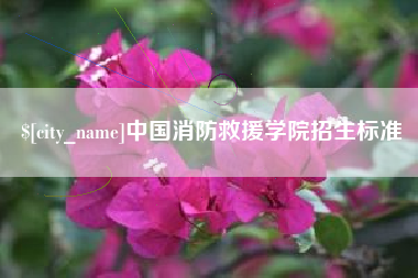深圳中国消防救援学院招生标准