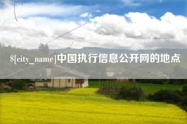 深圳中国执行信息公开网的地点
