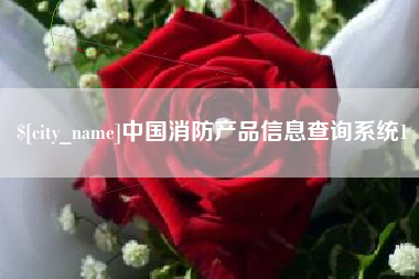 深圳中国消防产品信息查询系统1