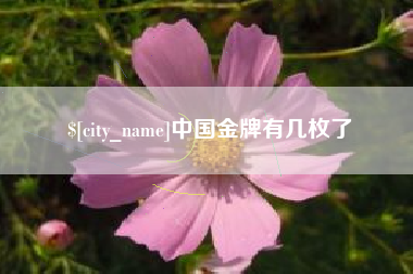 深圳中国金牌有几枚了