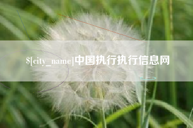 深圳中国执行执行信息网