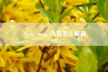 深圳九宫怎么解释