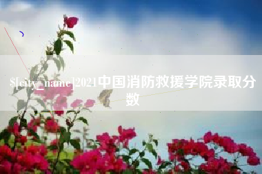 深圳2021中国消防救援学院录取分数