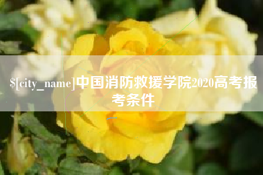 深圳中国消防救援学院2020高考报考条件