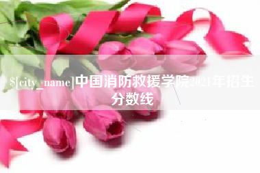 深圳中国消防救援学院2021年招生分数线