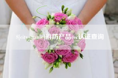 深圳消防产品ccc认证查询