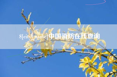 深圳中国消防在线查询