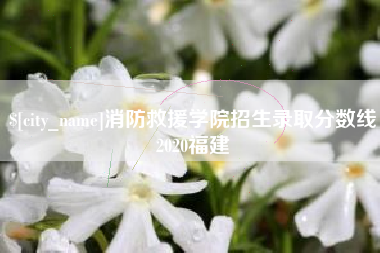 深圳消防救援学院招生录取分数线2020福建