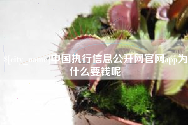 深圳中国执行信息公开网官网app为什么要钱呢
