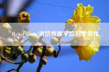 深圳消防救援学院招生条件