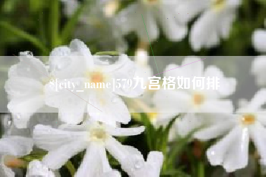 深圳579九宫格如何排