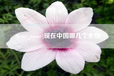 深圳现在中国哪几个金牌