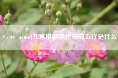 深圳九宫格数字代表的五行是什么