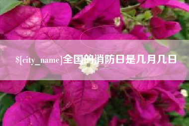 深圳全国的消防日是几月几日