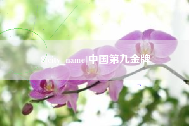 深圳中国第九金牌