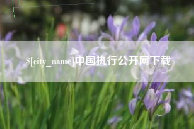 深圳中国执行公开网下载