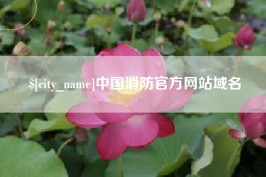 深圳中国消防官方网站域名