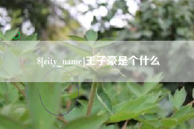 深圳王子豪是个什么
