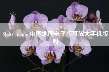 深圳中国地图电子版可放大手机版吗
