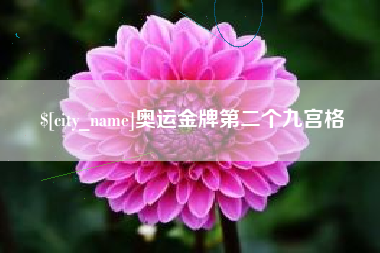 深圳奥运金牌第二个九宫格