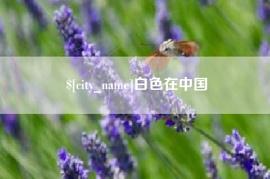 深圳白色在中国