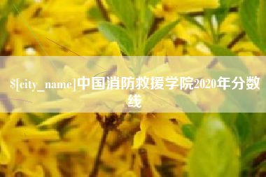 深圳中国消防救援学院2020年分数线