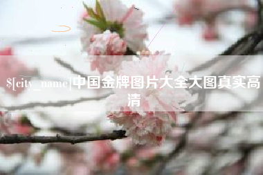 深圳中国金牌图片大全大图真实高清