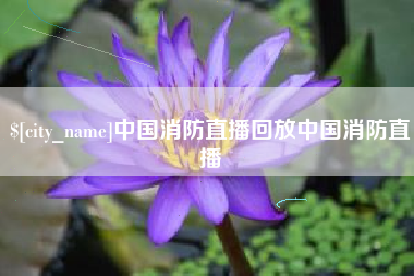 深圳中国消防直播回放中国消防直播