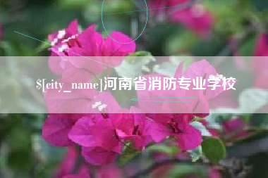 深圳河南省消防专业学校