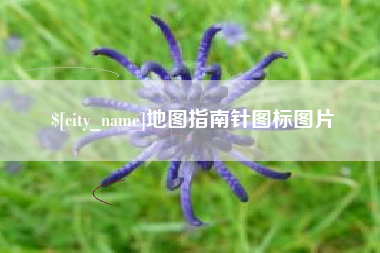 深圳地图指南针图标图片