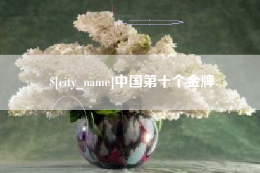 深圳中国第十个金牌